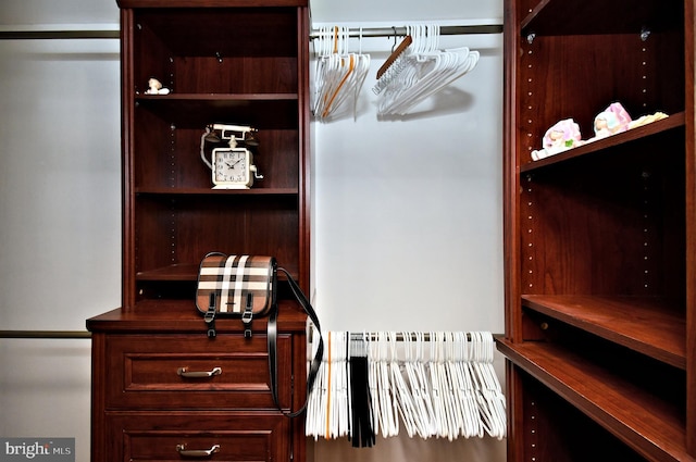 view of spacious closet