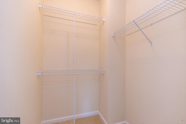 view of walk in closet