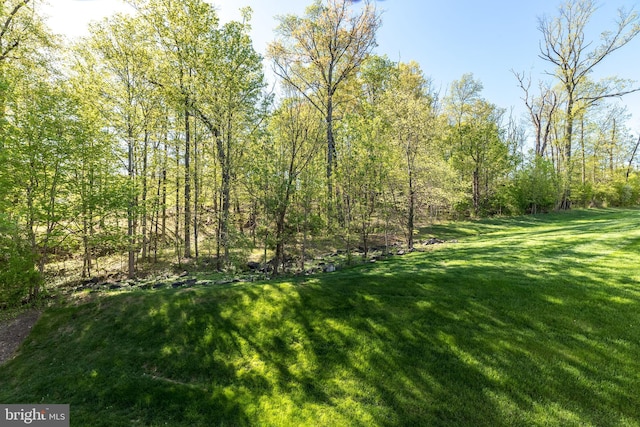 view of yard