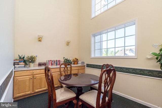 carpeted dining space with plenty of natural light