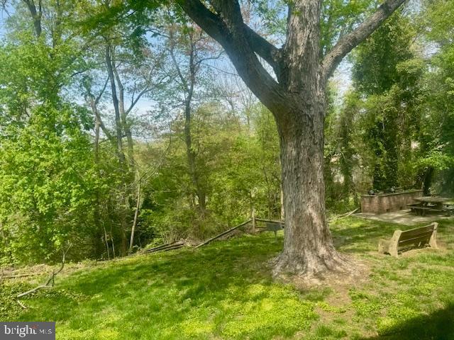 view of nature with a view of trees