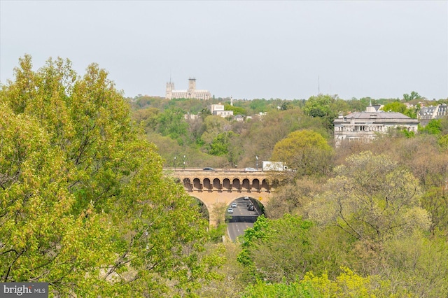 bird's eye view