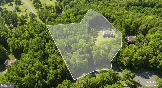 view of property location featuring property parcel outlined and a heavily wooded area