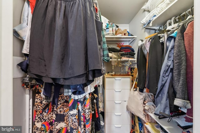 view of walk in closet