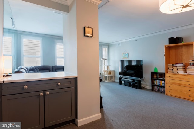 kitchen with gray cabinets, ornamental molding, dark colored carpet, and open floor plan
