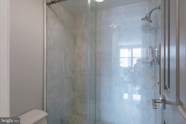 full bathroom with toilet and a shower stall