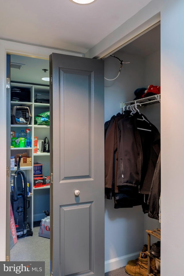 view of closet
