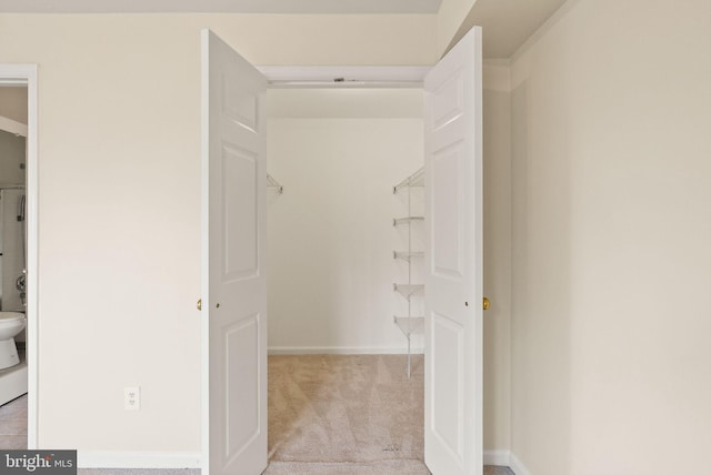 8075 Lacy Dr Unit 303, Manassas, VA 20109 - walk in closet with light colored carpet
