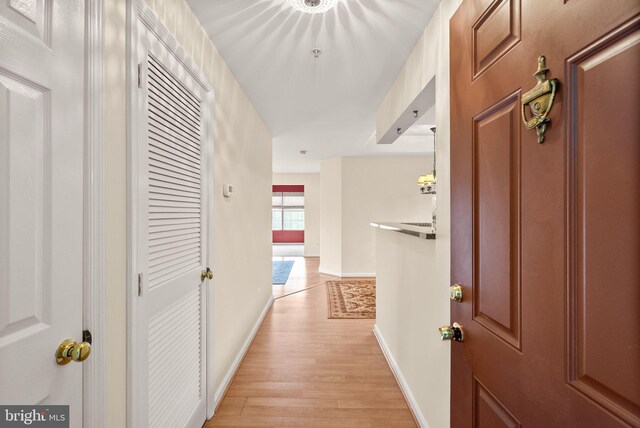 8075 Lacy Dr Unit 303, Manassas, VA 20109 - hall with baseboards and light wood finished floors