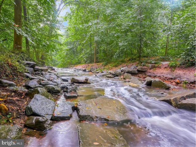view of local wilderness with a wooded view