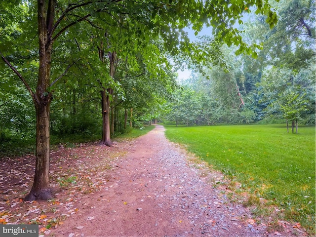 view of home's community with a yard and a wooded view