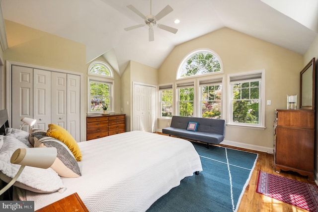 bedroom featuring two closets, wood finished floors, multiple windows, and baseboards