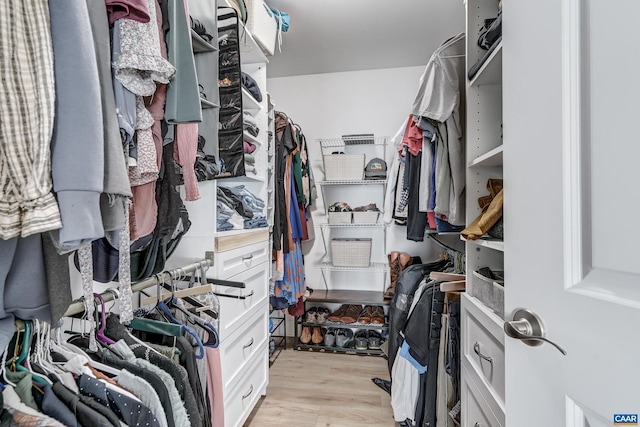 147 Langley Dr, Waynesboro, VA 22980 - walk in closet with light wood-style flooring