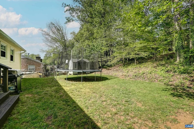 209 Old Lynchburg Rd, Charlottesville, VA 22903 - view of yard with a trampoline