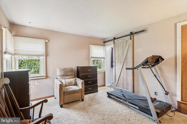 exercise room featuring baseboards, a barn door, and carpet flooring