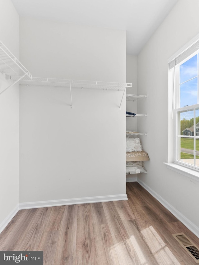 1022 Fawn Haven Walk, Dover, DE 19901 - walk in closet featuring visible vents and wood finished floors