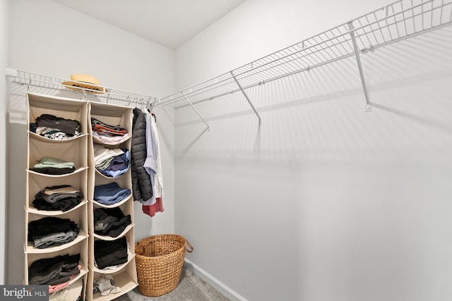 37268 Brenda Ln, Frankford, DE 19945 - walk in closet featuring carpet flooring