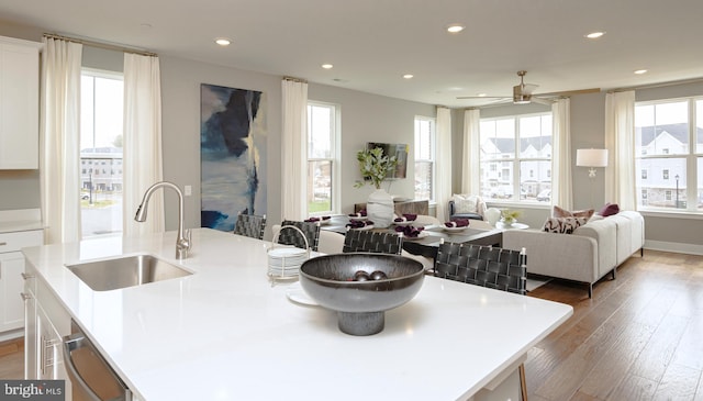 kitchen with recessed lighting, wood finished floors, stainless steel dishwasher, and a sink