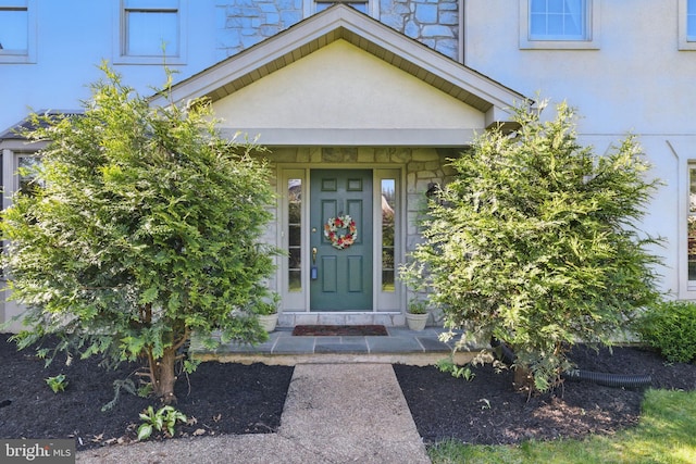 view of exterior entry with stucco siding and stone siding