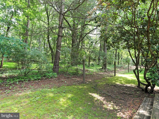 321 Valley View Dr, Waynesboro, PA 17268 - view of yard featuring a view of trees