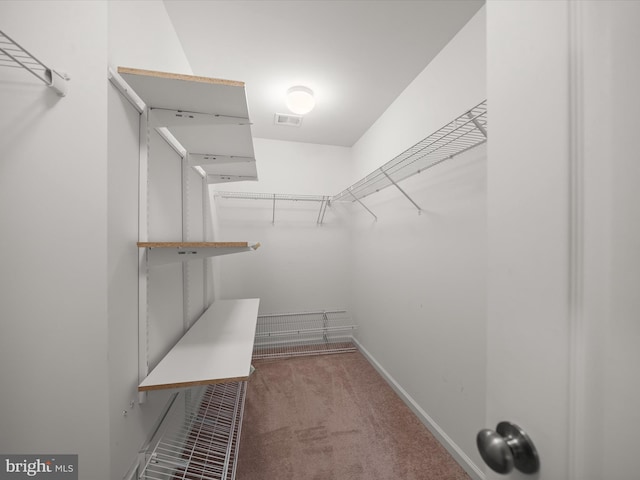 walk in closet with carpet flooring