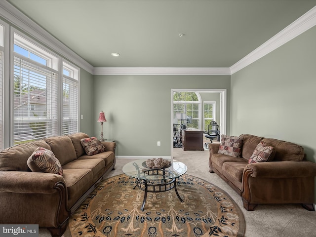 carpeted living room featuring crown molding and baseboards