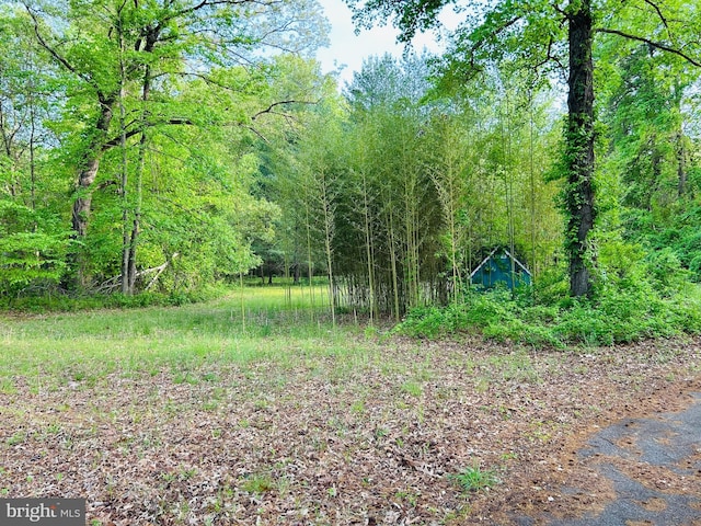 1531 Defense Hwy, Gambrills, MD 21054 - view of yard with a view of trees