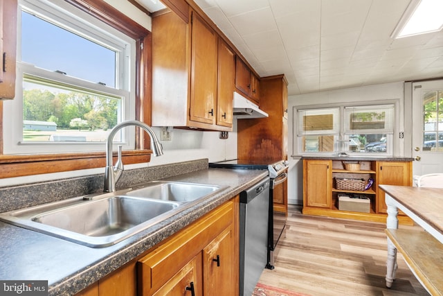 kitchen featuring a sink, brown cabinets, under cabinet range hood, and light wood-type flooring