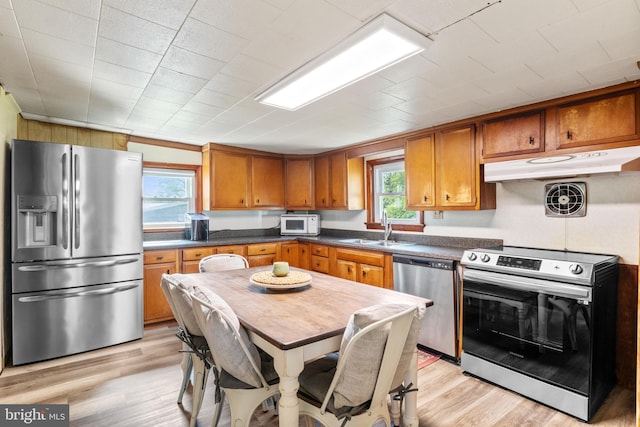 kitchen featuring plenty of natural light, under cabinet range hood, a sink, light wood finished floors, and appliances with stainless steel finishes