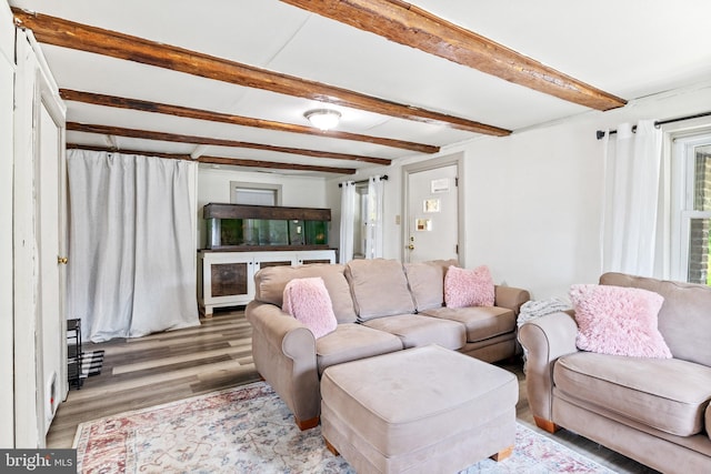living area featuring wood finished floors and beam ceiling