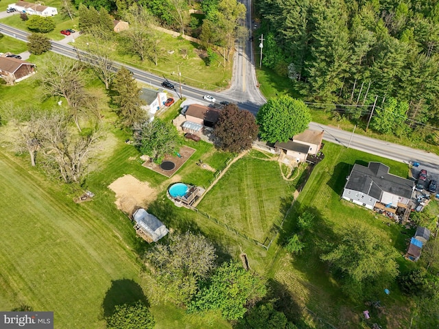 bird's eye view