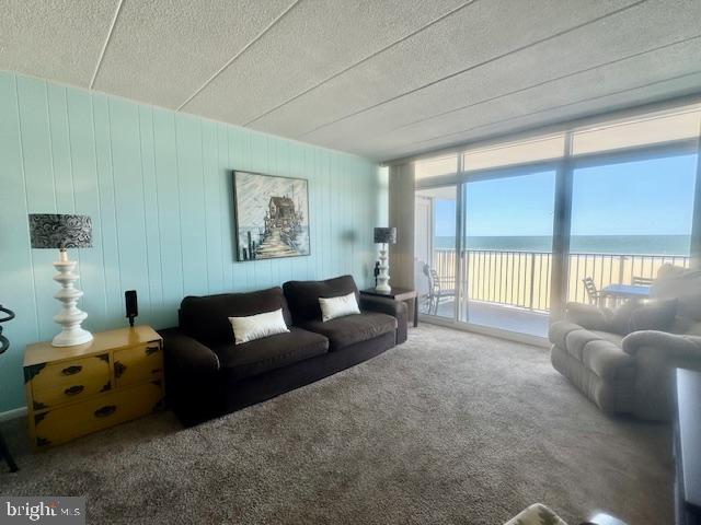 living room featuring a wall of windows, carpet, a water view, and a textured ceiling