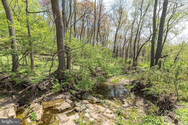 view of local wilderness with a wooded view