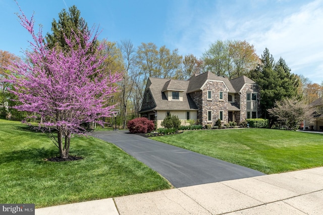 view of front facade featuring stone siding and a front lawn