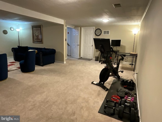 20416 Old York Rd, White Hall, MD 21161 - exercise area featuring baseboards, carpet, and visible vents