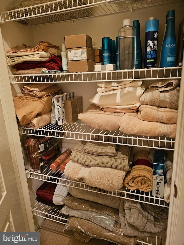 view of closet