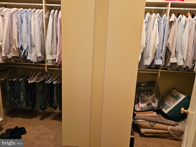 spacious closet featuring carpet floors