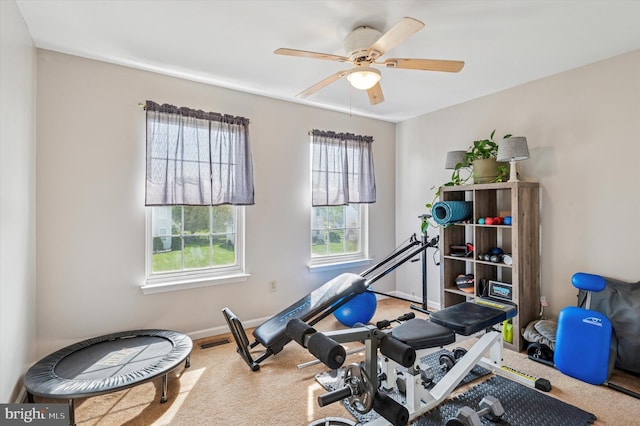 workout area featuring a healthy amount of sunlight, carpet floors, ceiling fan, and visible vents