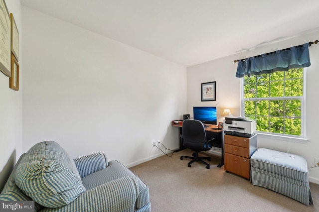 office featuring baseboards and light carpet