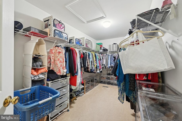 spacious closet with carpet floors and attic access