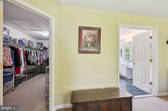 hallway featuring baseboards, carpet flooring, and attic access