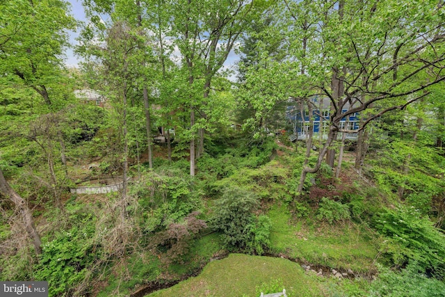 3015 Oregon Knolls Dr NW, Washington, DC 20015 - view of yard