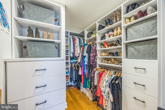 walk in closet featuring wood finished floors