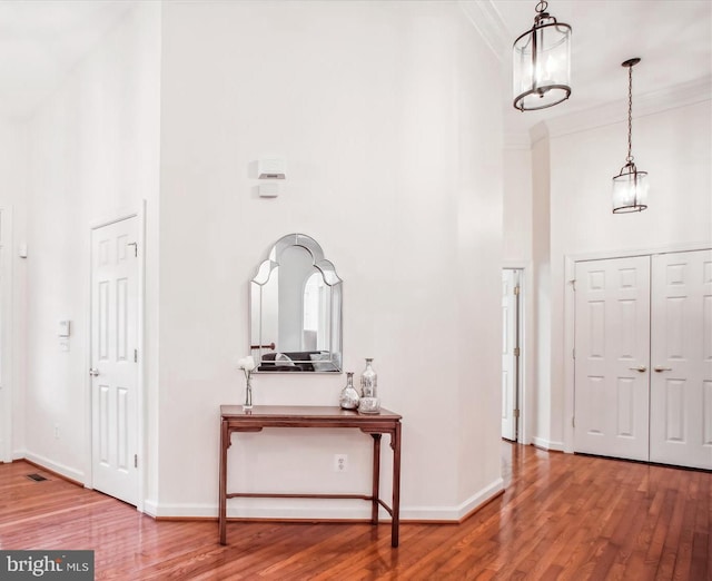 10601 Little Run Farm Ct, Vienna, VA 22182 - entryway featuring wood finished floors, ornamental molding, and a high ceiling