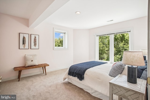10601 Little Run Farm Ct, Vienna, VA 22182 - bedroom featuring baseboards, visible vents, multiple windows, and light carpet