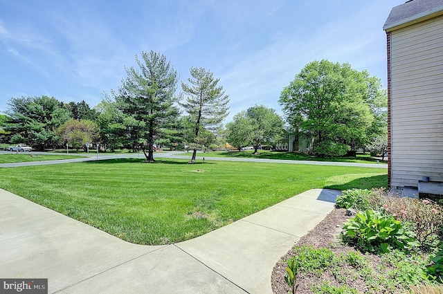 view of grassy yard