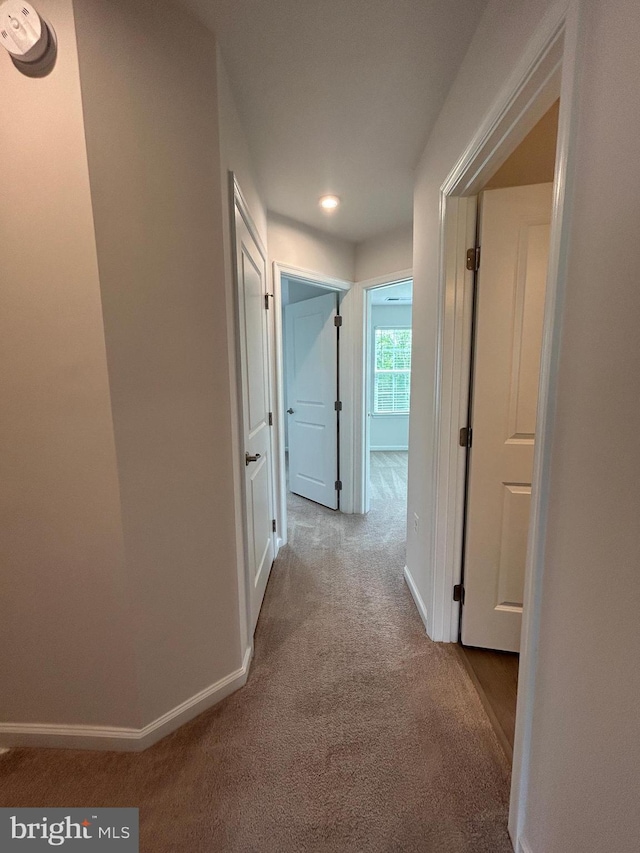1108 Dovetail Cir, Fredericksburg, VA 22401 - hallway with carpet, baseboards, and recessed lighting