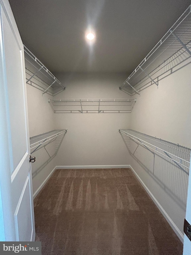 1108 Dovetail Cir, Fredericksburg, VA 22401 - walk in closet with carpet flooring