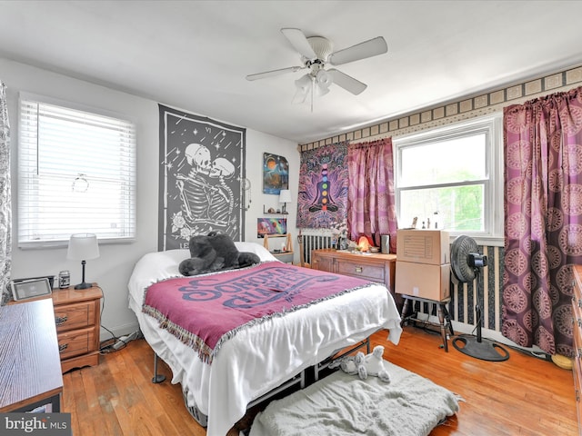 bedroom featuring ceiling fan, multiple windows, radiator heating unit, and wood finished floors