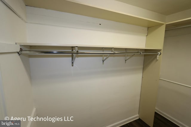 spacious closet with dark wood finished floors